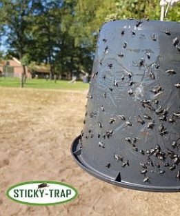 Sticky Trap