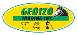Gedizo