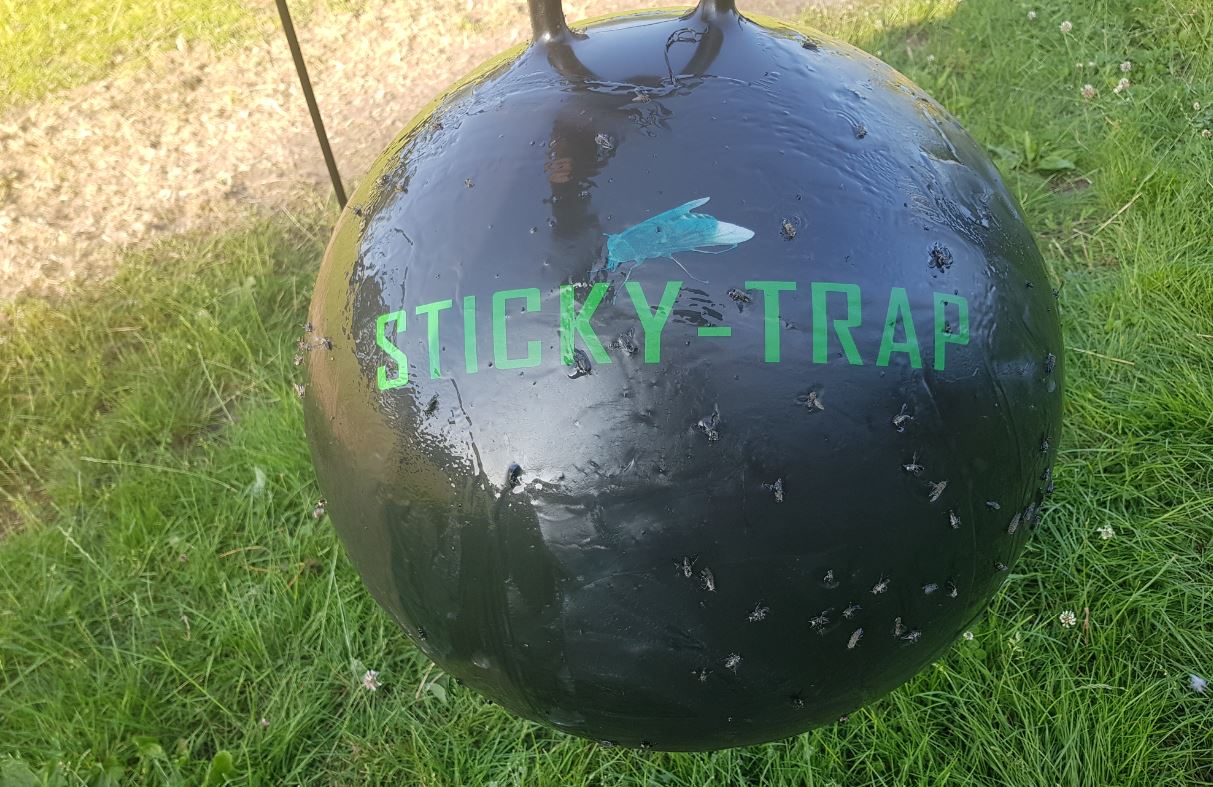 Sticky-Trap Ball