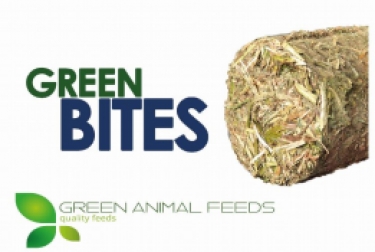 Green Bites