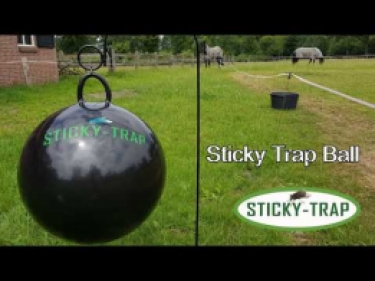 Sticky-Trap Ball